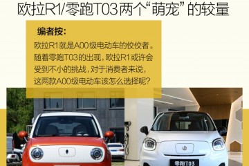 10万以内的A00级电动车欧拉R1/零跑T03两个萌宠的比赛