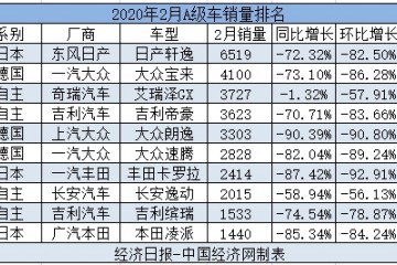 疫情下的新众生相自主品牌A级车抗压显着