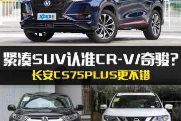 别老盯着CRV/奇骏长安CS75PLUS也不错